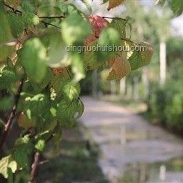 北大回应商家售卖未名湖湖水：维护校园资源与文化底蕴